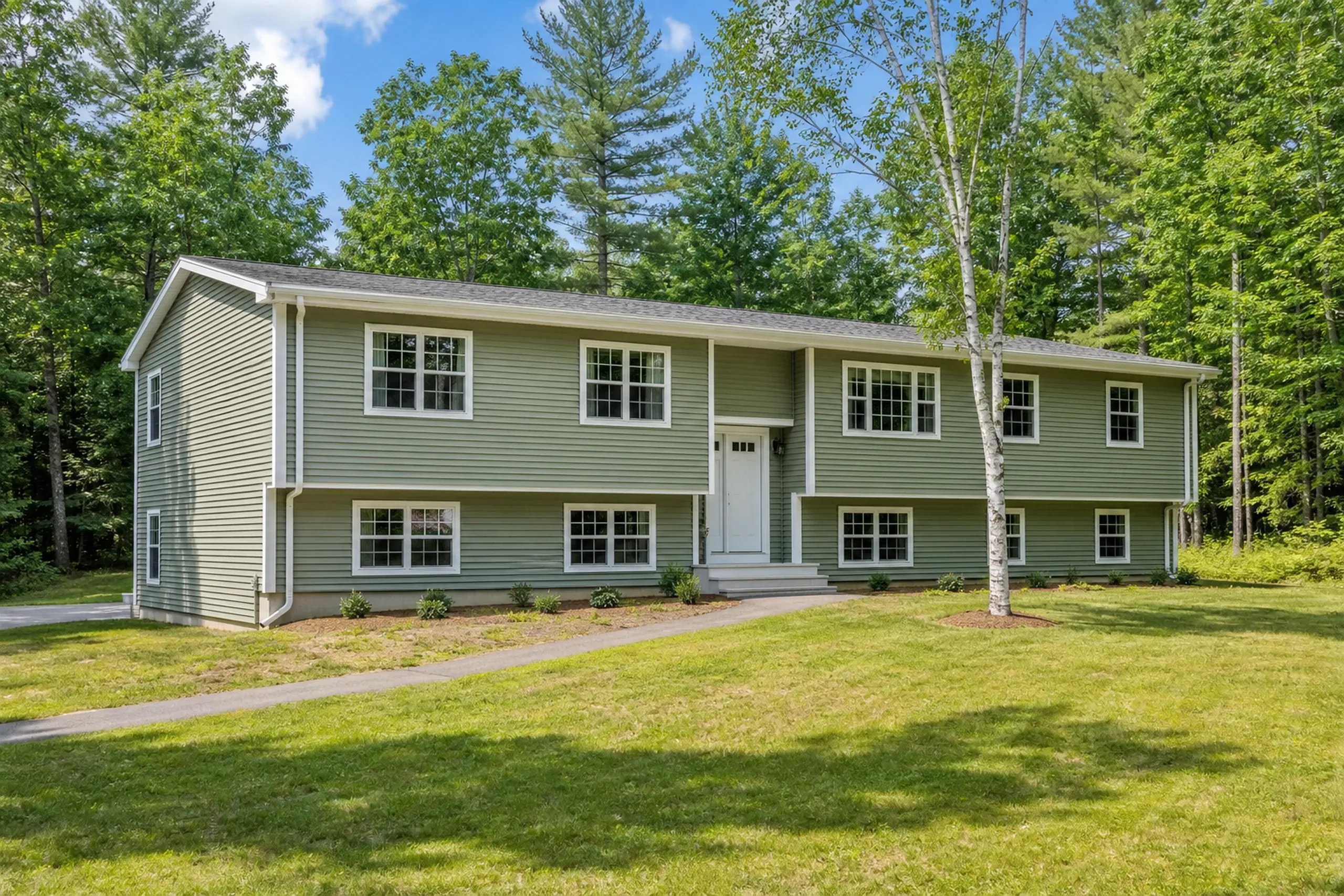 Gorham, ME subdivision home: a 1980s raised ranch on a wooded lot re-sided in soft sage-green vinyl lap siding with white window trim, a paved walk and a young birch, summer